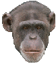 Benutzerbild von Felixhenn Benutzerbild von Felixhenn